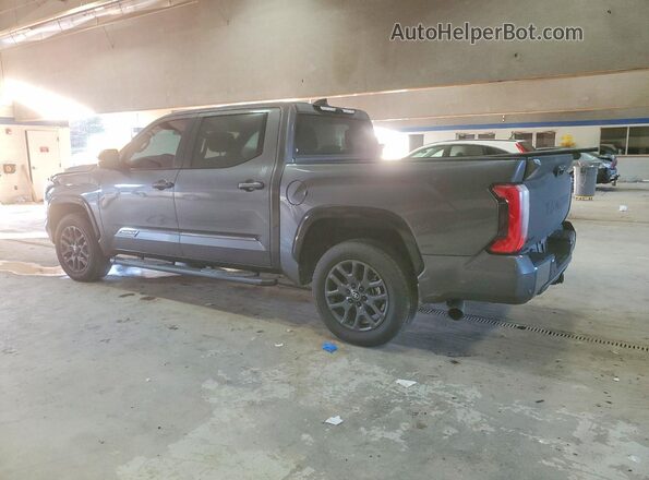 5TFNA5DB1SX271669 2025 TOYOTA TUNDRA Gray 