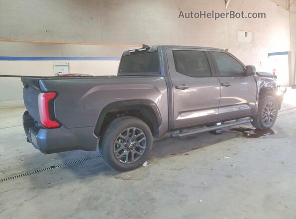 5TFNA5DB1SX271669 2025 TOYOTA TUNDRA Gray 