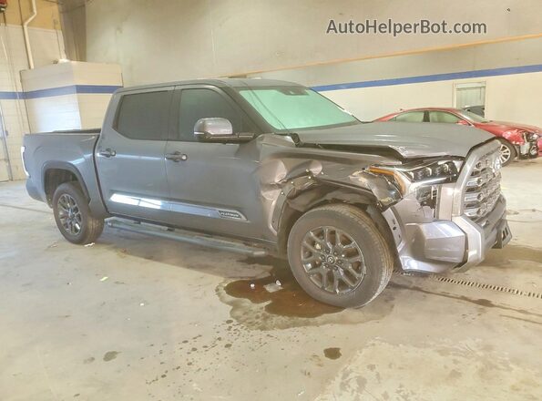 5TFNA5DB1SX271669 2025 TOYOTA TUNDRA Gray 