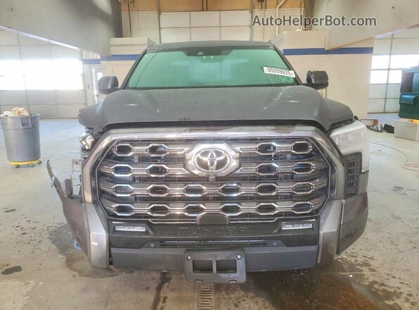 5TFNA5DB1SX271669 2025 TOYOTA TUNDRA Gray 