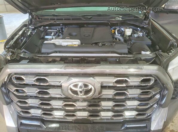 5TFNA5DB1SX271669 2025 TOYOTA TUNDRA Gray 