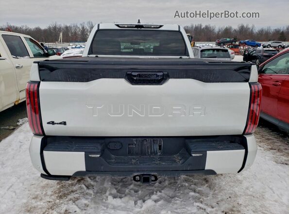 5TFNA5DB2RX232387 2024 TOYOTA TUNDRA White Widok z tyłu