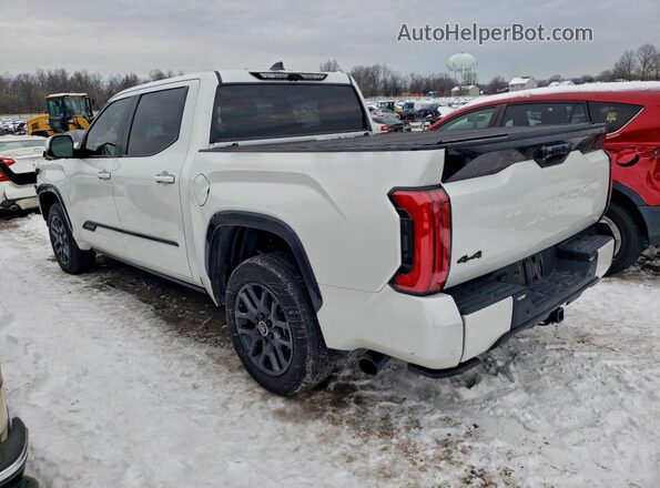 5TFNA5DB2RX232387 2024 TOYOTA TUNDRA White Tył lewy