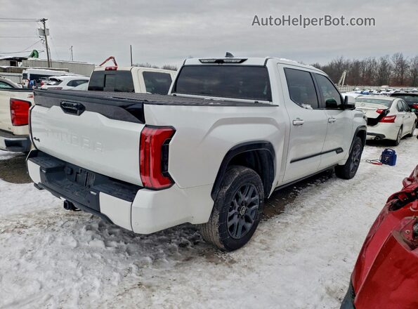 5TFNA5DB2RX232387 2024 TOYOTA TUNDRA White Tył prawy