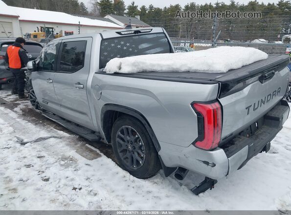 5TFNA5DB4SX288675 2025 TOYOTA TUNDRA Серый 