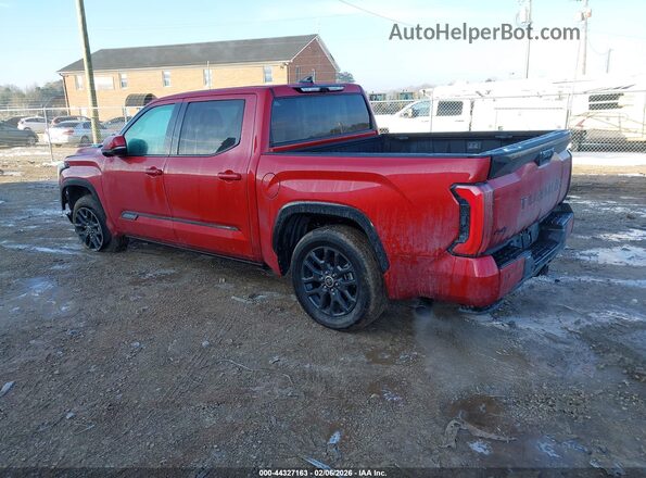 5TFNC5DB1PX027876 2023 TOYOTA TUNDRA HYBRID Red უკანა მარცხენა