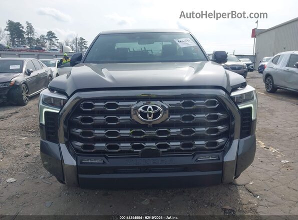 5TFNC5DB9SX110125 2025 TOYOTA TUNDRA HYBRID Gray Widok wnętrza z tyłu