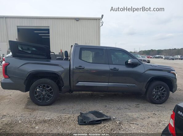 5TFNC5DB9SX110125 2025 TOYOTA TUNDRA HYBRID Gray Widok wnętrza 360 stopni