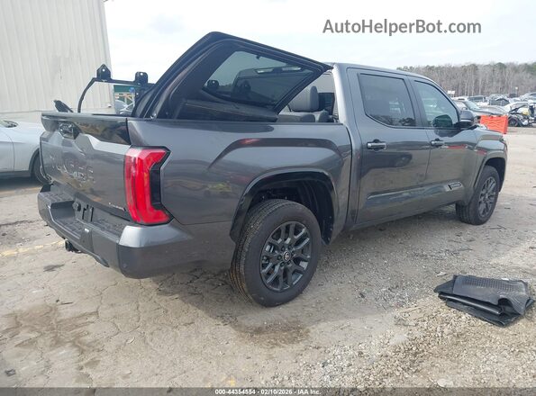 5TFNC5DB9SX110125 2025 TOYOTA TUNDRA HYBRID Gray Tył prawy