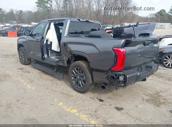 5TFNC5DB9SX110125 2025 TOYOTA TUNDRA HYBRID Gray Tył lewy