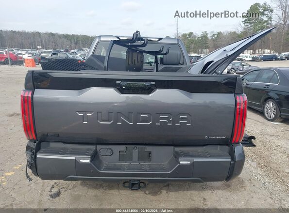 5TFNC5DB9SX110125 2025 TOYOTA TUNDRA HYBRID Gray 