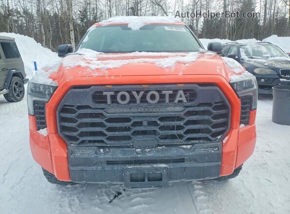 5TFPC5DB1PX018717 2023 TOYOTA LIMITED Orange 