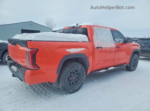 5TFPC5DB1PX018717 2023 TOYOTA LIMITED Orange 