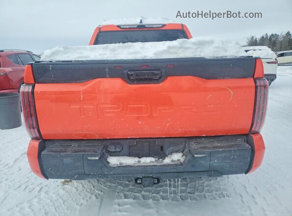5TFPC5DB1PX018717 2023 TOYOTA LIMITED Orange 
