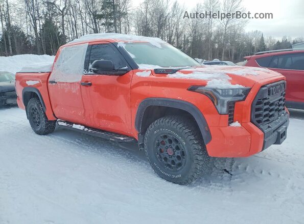 5TFPC5DB1PX018717 2023 TOYOTA LIMITED Orange 