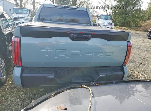 5TFPC5DB3NX002905 2022 TOYOTA LIMITED Green Հետևի տեսք
