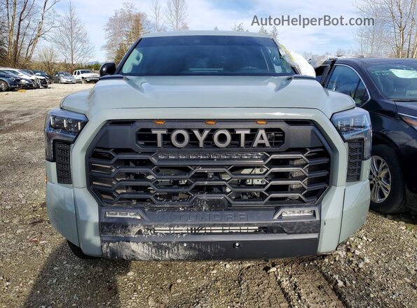 5TFPC5DB3NX002905 2022 TOYOTA LIMITED Green Դիմացի տեսք