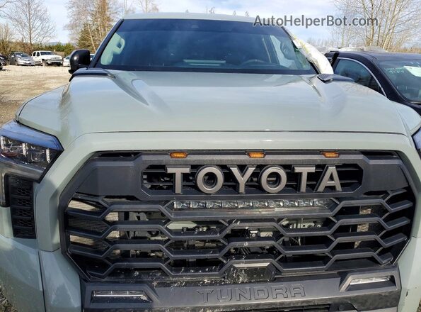 5TFPC5DB3NX002905 2022 TOYOTA LIMITED Green Սալոնի հետևի տեսք