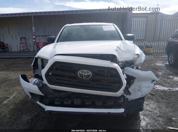 5TFSX5EN3KX068762 2019 TOYOTA TACOMA Белый 