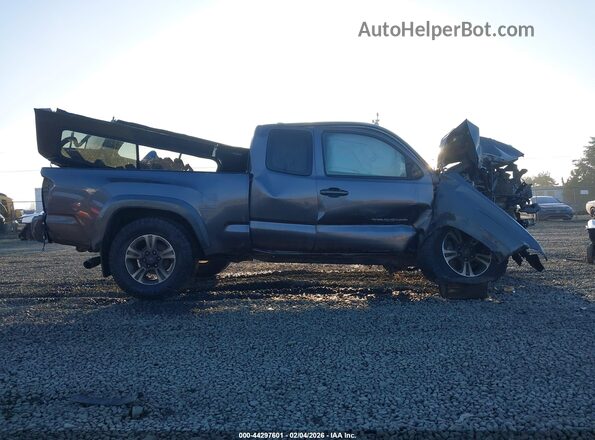5TFSZ5AN5HX078296 2017 TOYOTA TACOMA Gray Вид задньої частини салону