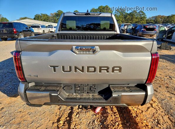 5TFVC5DB3NX002331 2022 TOYOTA TUNDRA Silver უკანა ხედი