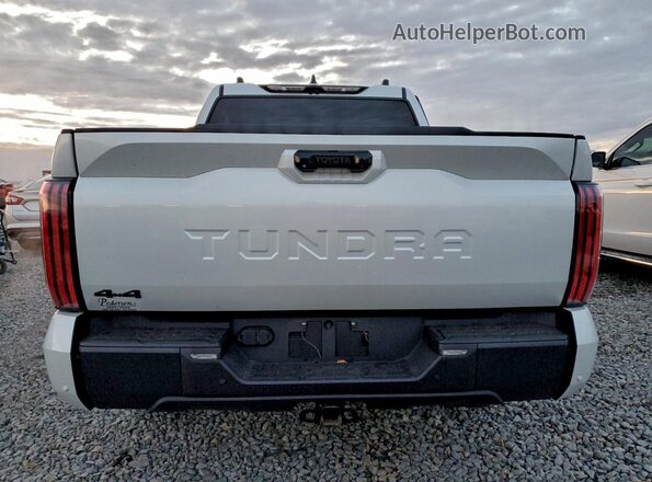 5TFWA5DB9SX240397 2025 TOYOTA LIMITED White Widok z tyłu
