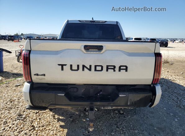5TFWC5DB7RX052191 2024 TOYOTA LIMITED Белый Панорамный вид салона 360°