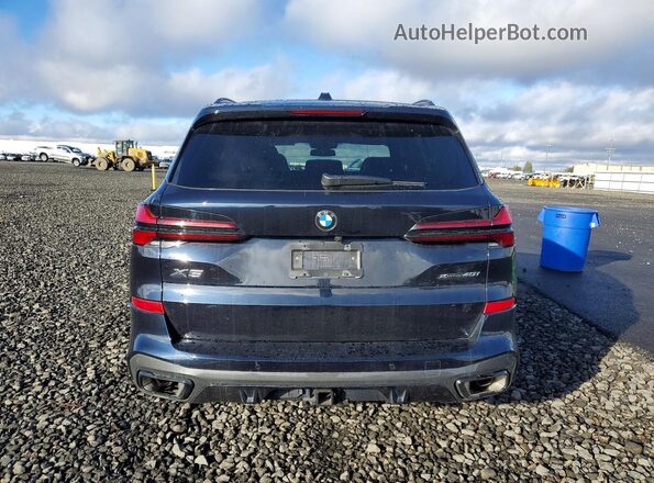 5UX23EU02R9U13343 2024 BMW X5 Blue Widok z tyłu