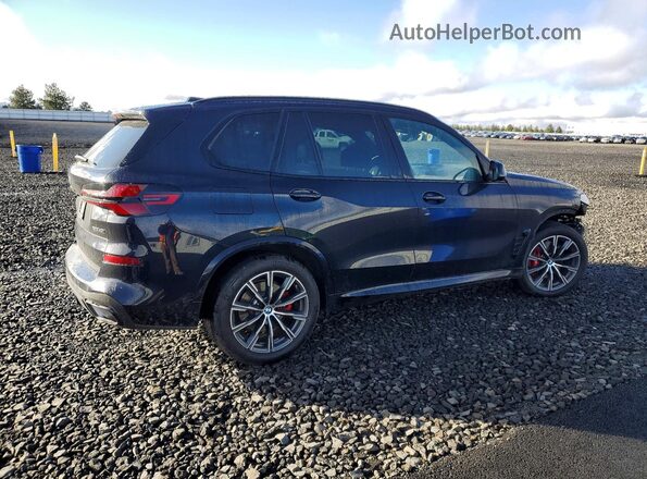 5UX23EU02R9U13343 2024 BMW X5 Blue Tył prawy