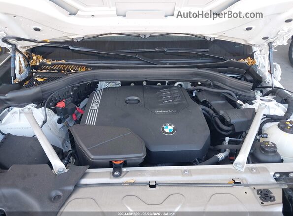 5UX43DP05R9W67207 2024 BMW X3 White Widok z tyłu