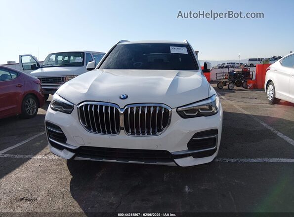 5UXCR6C01P9R88847 2023 BMW X5 White Vista interior trasera