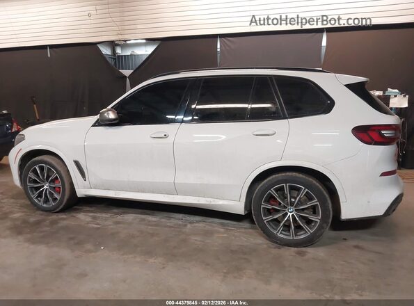 5UXJU4C04P9N59468 2023 BMW X5 Белый Панорамный вид салона 360°