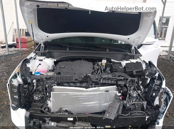 5XYK33DF0TG384229 2026 KIA SPORTAGE White Widok z tyłu