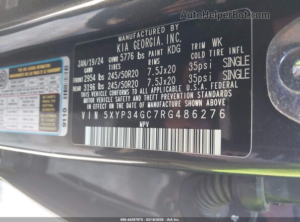5XYP34GC7RG486276 2024 KIA TELLURIDE Black Vista del compartimento del motor