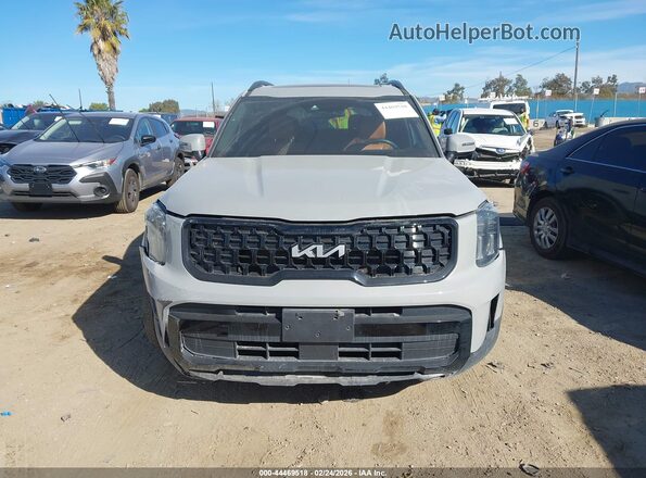 5XYP3DGC0RG518680 2024 KIA TELLURIDE Gray Սալոնի հետևի տեսք