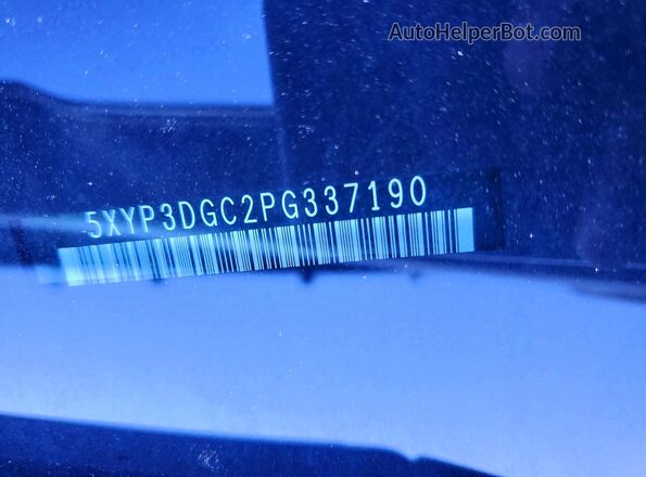 5XYP3DGC2PG337190 2023 KIA TELLURIDE Black Widok komory silnika