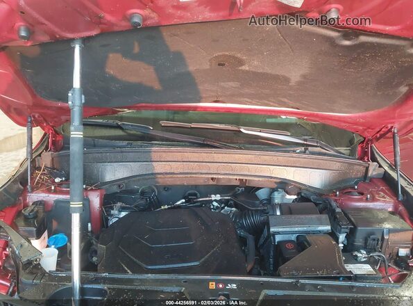 5XYP5DGC4RG448496 2024 KIA TELLURIDE Red Rear view