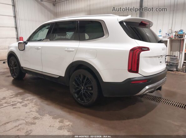 5XYP5DHC5NG279081 2022 KIA TELLURIDE White უკანა მარცხენა