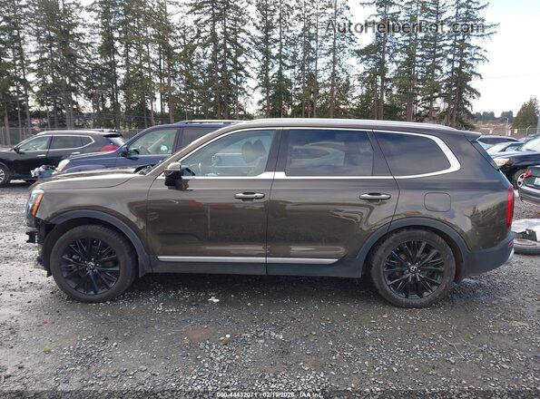 5XYP5DHC8MG108582 2021 KIA TELLURIDE Brown 