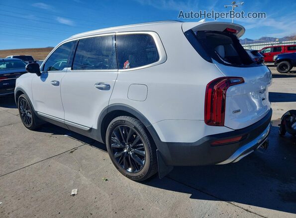 5XYP5DHCXNG230457 2022 KIA TELLURIDE White Tył lewy