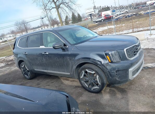 5XYP6DGC6RG508453 2024 KIA TELLURIDE Gray Vista interior trasera