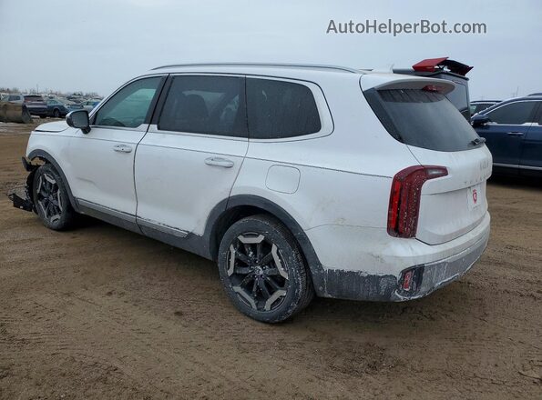 5XYP6DGCXPG346212 2023 KIA TELLURIDE White 