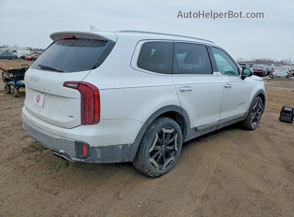 5XYP6DGCXPG346212 2023 KIA TELLURIDE White 