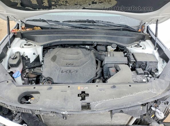 5XYP6DGCXPG346212 2023 KIA TELLURIDE White 