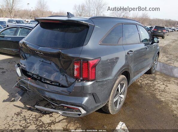5XYRH4LF6PG166454 2023 KIA SORENTO Серый Задняя правая четверть
