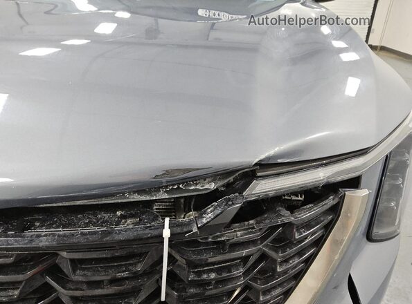 5XYRL4JC5RG280455 2024 KIA SORENTO Gray 