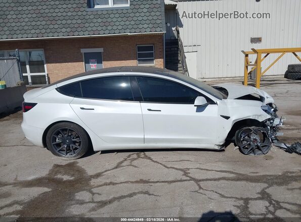 5YJ3E1EB2MF983446 2021 TESLA MODEL 3 Белый Вид задней части салона