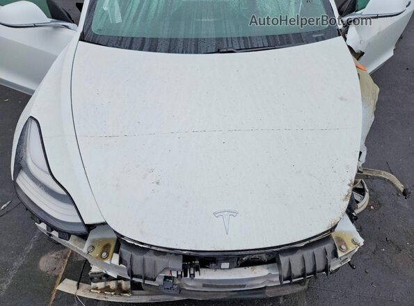 5YJ3E1EBXKF512786 2019 TESLA MODEL White 