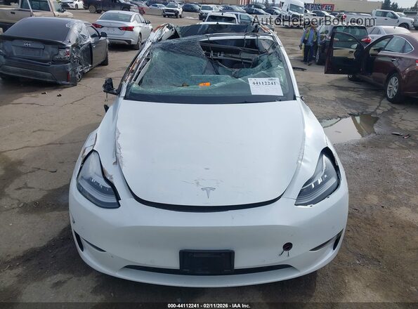 5YJYGDEE6MF231468 2021 TESLA MODEL Y White Widok z przodu