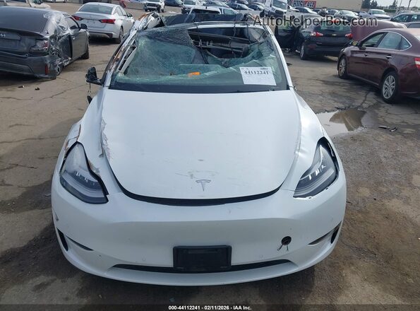 5YJYGDEE6MF231468 2021 TESLA MODEL Y White 